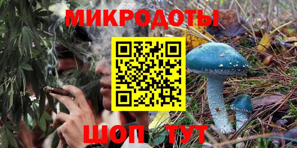 Галлюциногенные грибы Psilocybine cubensis Ессентуки